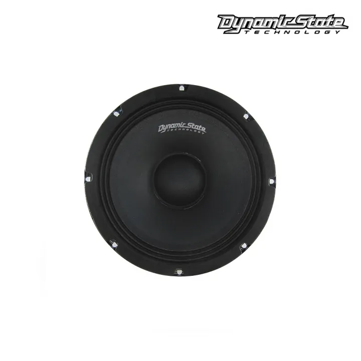 Dynamic State CM-20.1v2 эстрадная акустика в Саратове