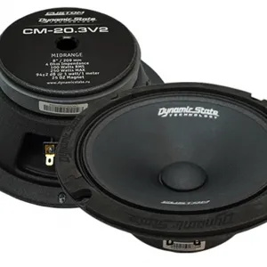 Dynamic State CM-20.3v2 эстрадная акустика