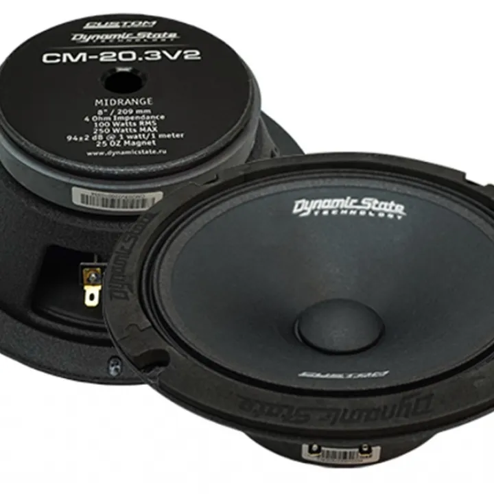 Dynamic State CM-20.3v2 эстрадная акустика в Саратове