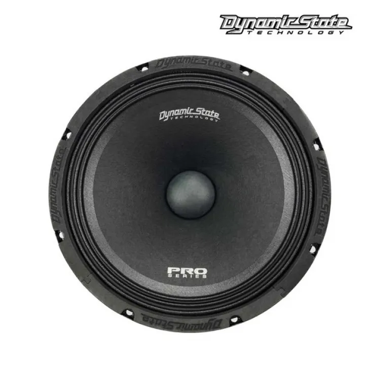 Dynamic State PM-250.1 Pro Series эстрадная акустика в Саратове