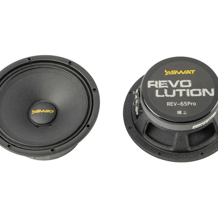 Swat  REV-65PRO v2 эстрадная акустика в Саратове