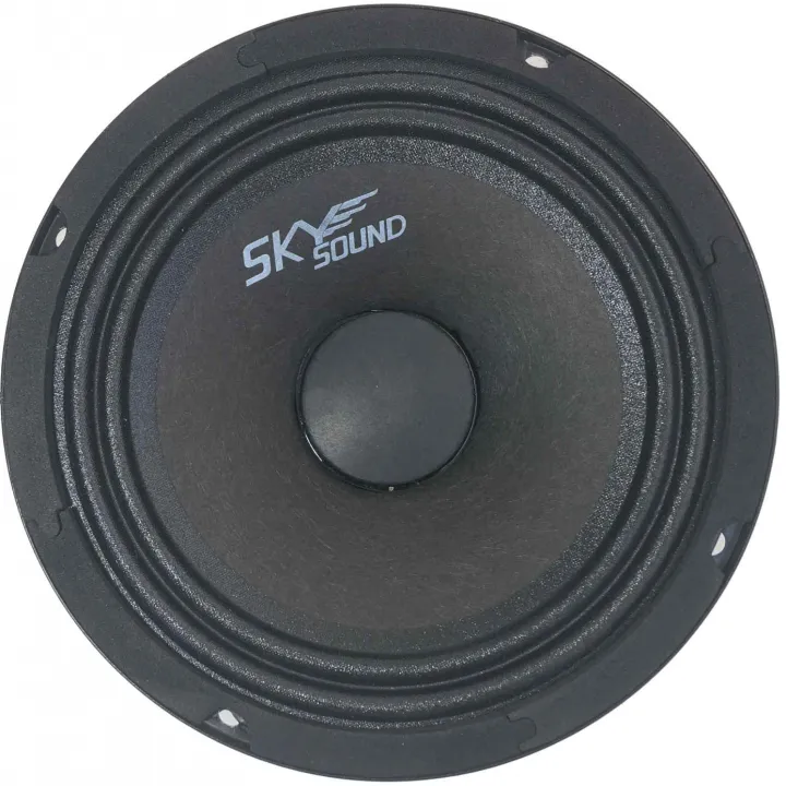 SkySound SSB-65 эстрадная акустика в Саратове
