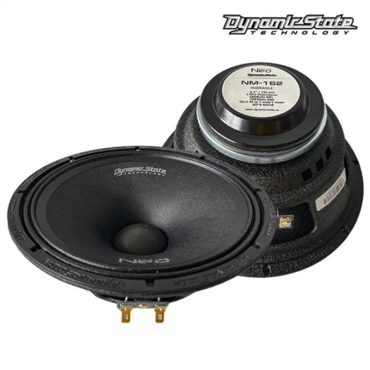 Dynamic State NM-162 NEO эстрадная акустика в Саратове