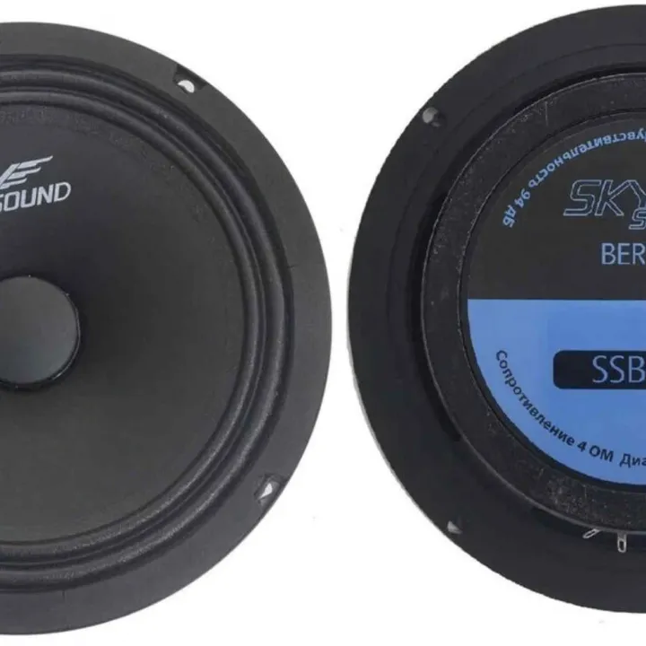 SkySound SSC-85 эстрадная акустика в Саратове