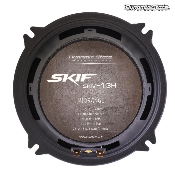 Dynamic State SKIF SKM-13H акустика в Саратове