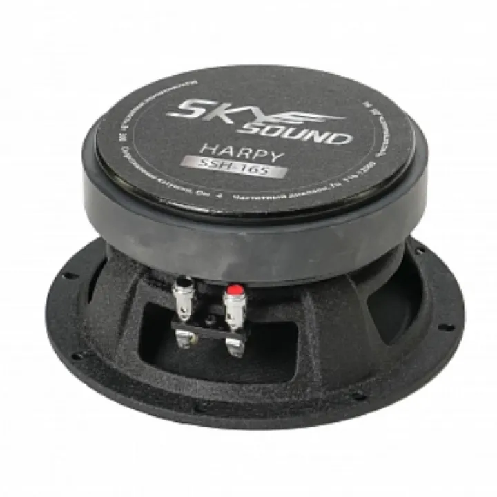 SKYSOUND HARPY SSH-165 эстрадная акустика в Саратове