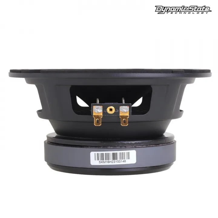 Dynamic State SKIF SKM-16H акустика в Саратове