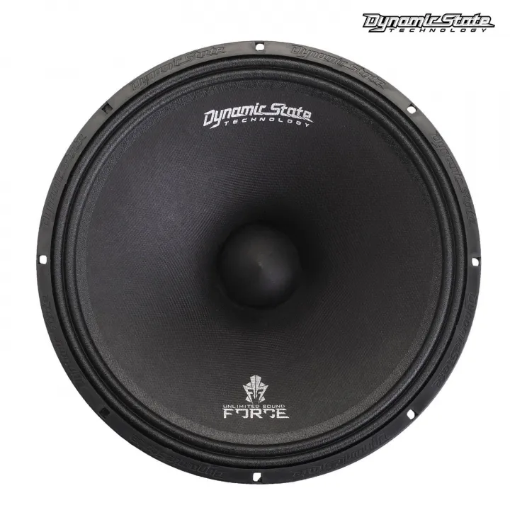 Dynamic State FM200R FORCE Эстрадная акустика в Саратове