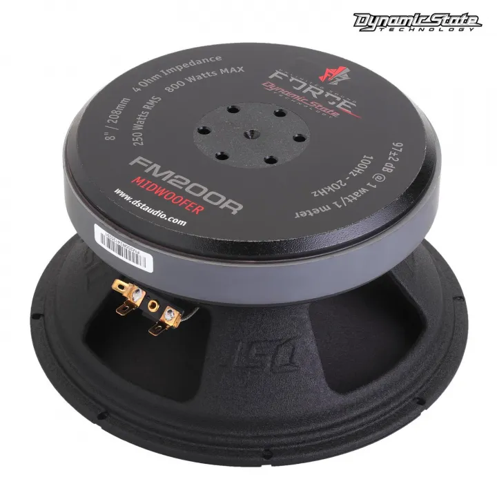 Dynamic State FM200R FORCE Эстрадная акустика в Саратове