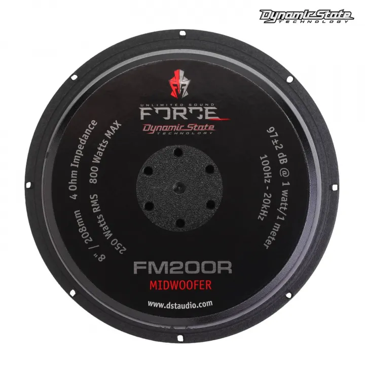Dynamic State FM200R FORCE Эстрадная акустика в Саратове