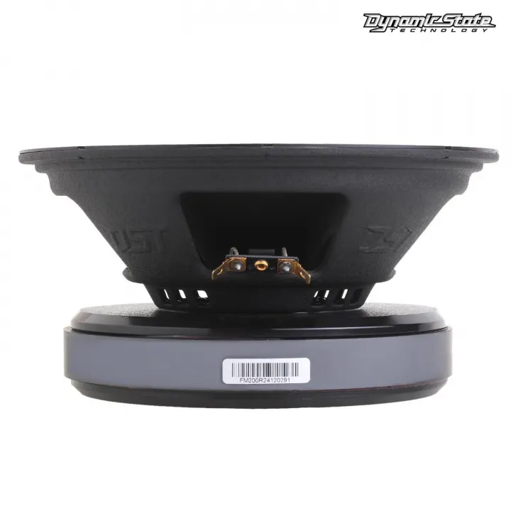 Dynamic State FM200R FORCE Эстрадная акустика в Саратове