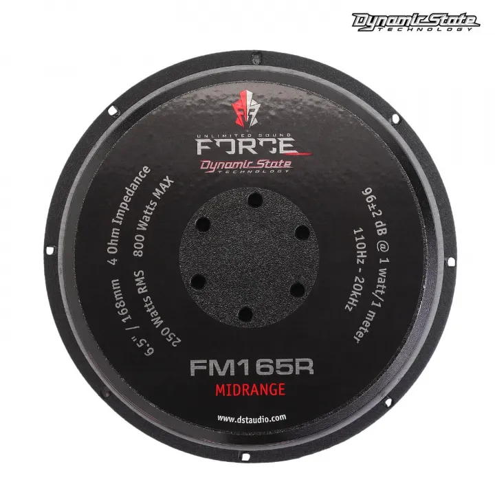 Dynamic State FM165R FORCE эстрадная акустика в Саратове