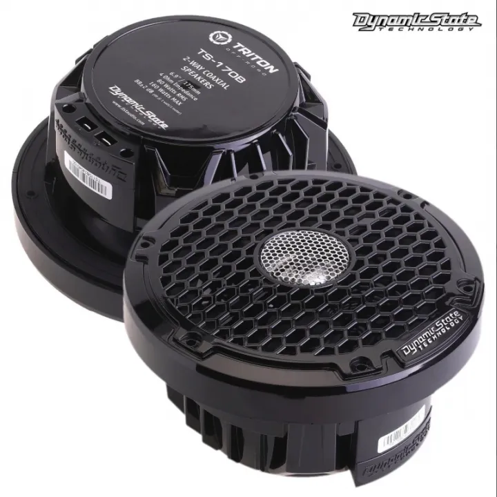 Dynamic State TRITON TS-170B Black влагозащищённая акустика в Саратове